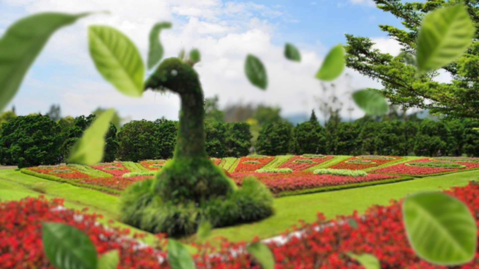 Latar Kebun Raya Bogor